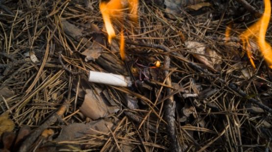 Prévention des incendies de forêts : la responsabilité élargie des producteurs (REP) du tabac est mise au travail !